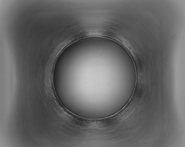 X0000112370385200908201506