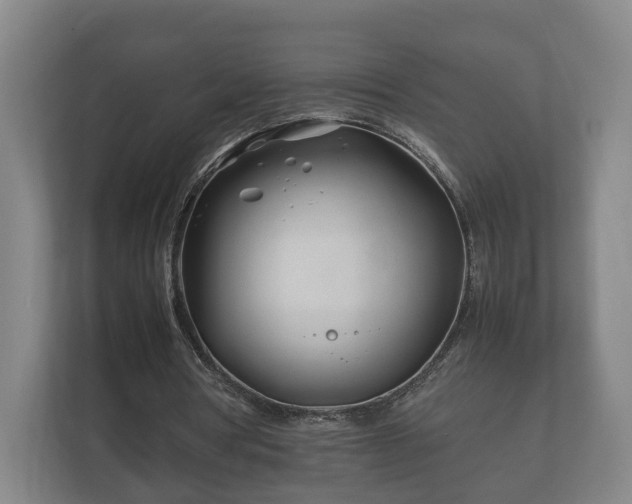 X0000112370386200908201506