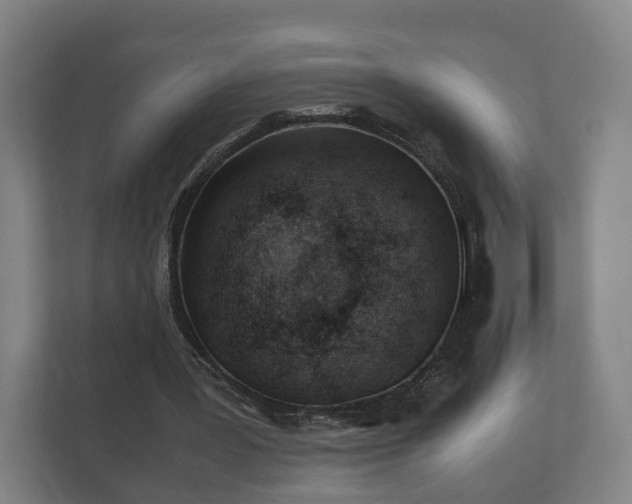 X0000112370387200908201506