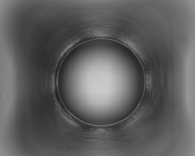 X0000112370390200908201506