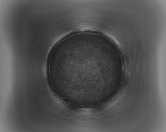 X0000112370391200908201506