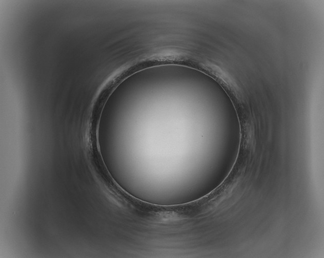 X0000112370392200908201506