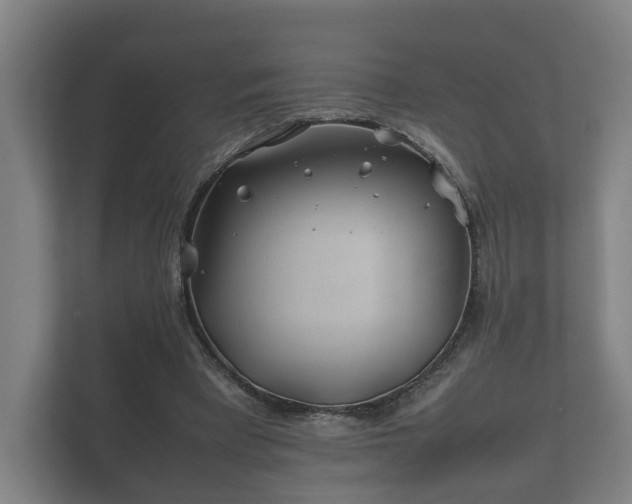 X0000112370393200908201506