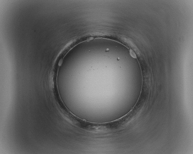 X0000112370395200908201506