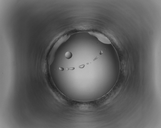 X0000112370400200908201506