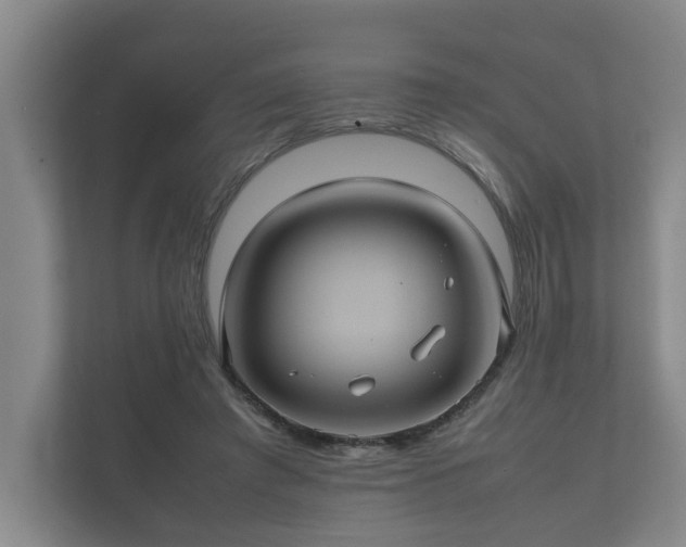 X0000112370401200908201506