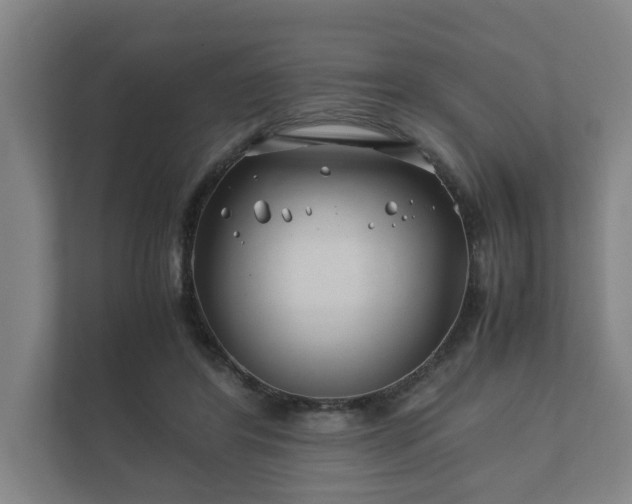 X0000112370404200908201506