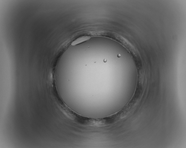 X0000112370405200908201506