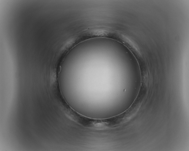 X0000112370407200908201506