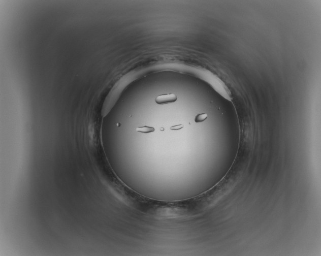 X0000112370408200908201506