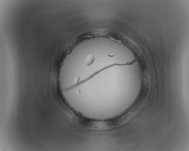 X0000112370409200908201506