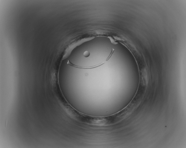 X0000112370410200908201506