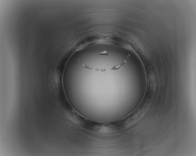 X0000112370412200908201506