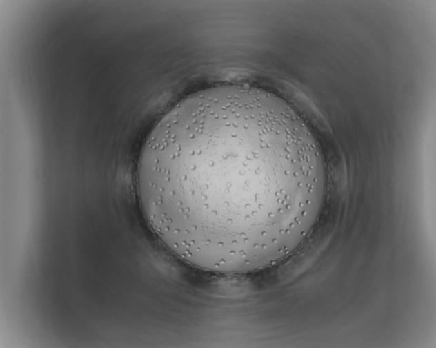 X0000112370415200908201506