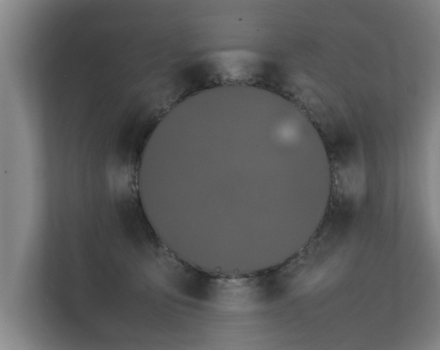 X0000112370419200908201506