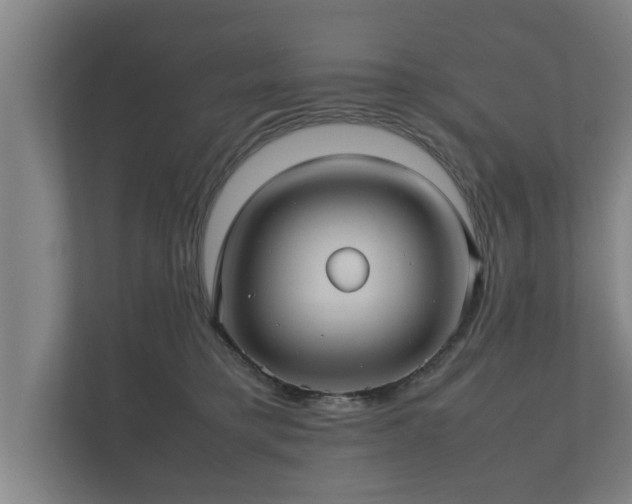 X0000112370421200908201506