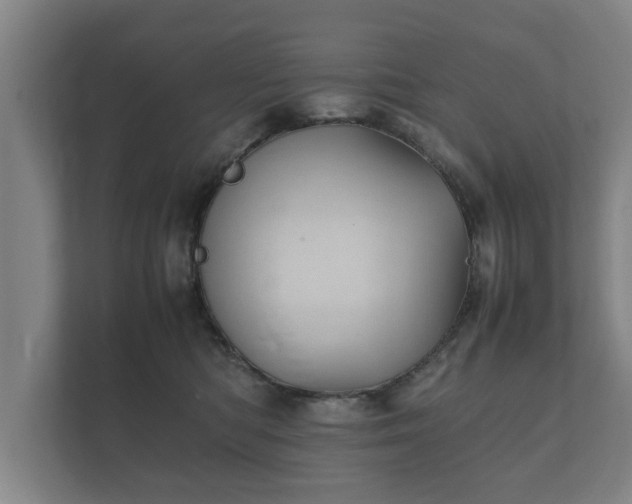 X0000112370422200908201506