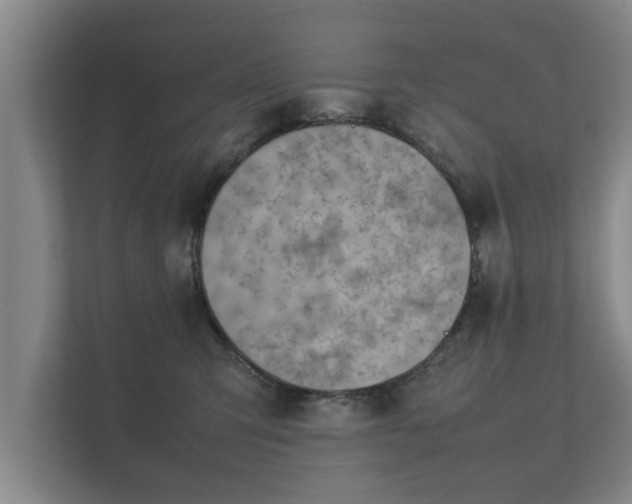 X0000112370423200908201506