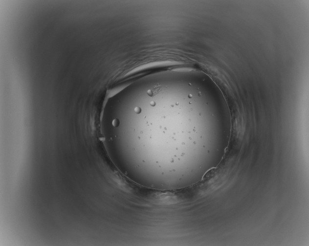 X0000112370424200908201506