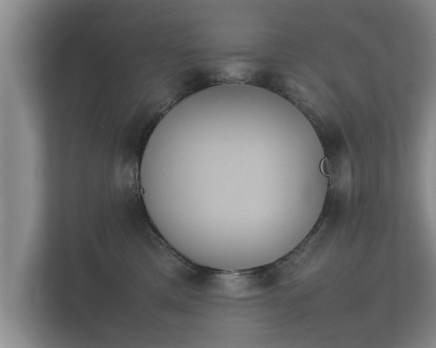 X0000112370425200908201506