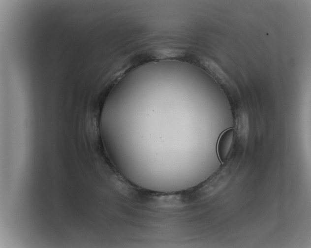 X0000112370426200908201506