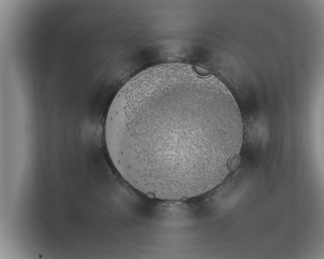 X0000112370427200908201506