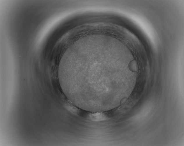 X0000112370431200908201506