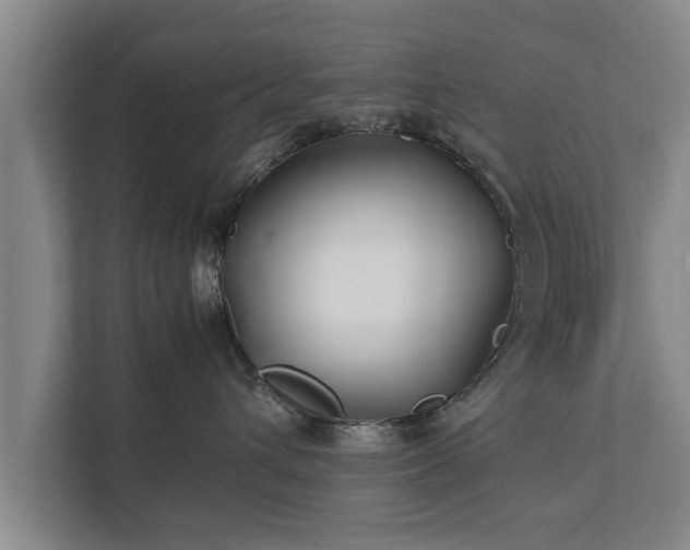 X0000112370432200908201506