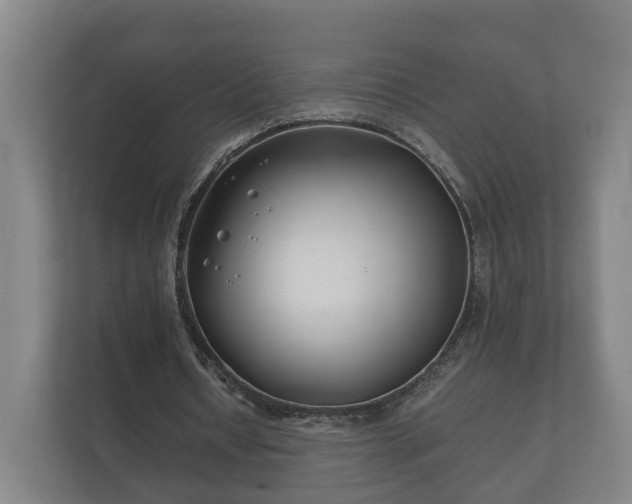 X0000112370434200908201505