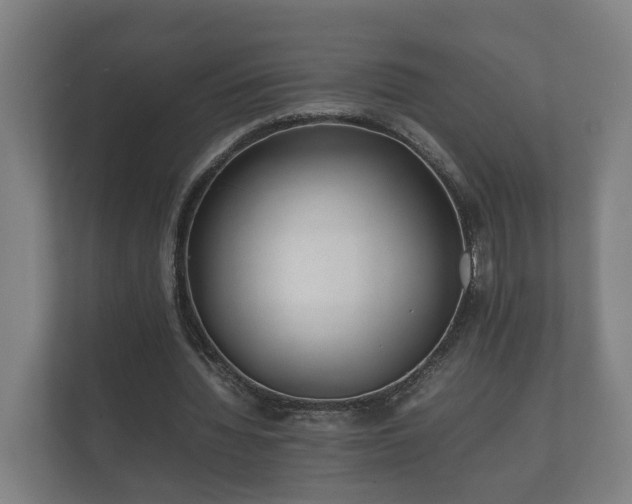 X0000112370436200908201505