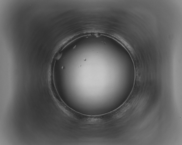 X0000112370437200908201505