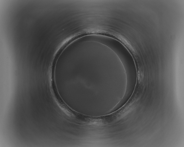 X0000112370438200908201505