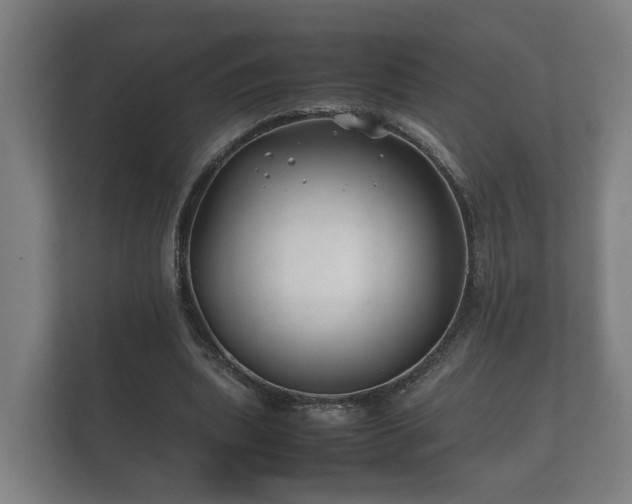 X0000112370439200908201505