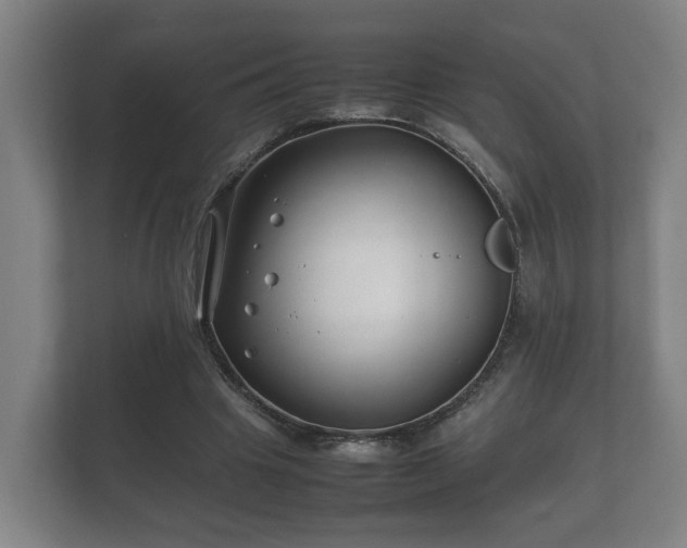 X0000112370441200908201505