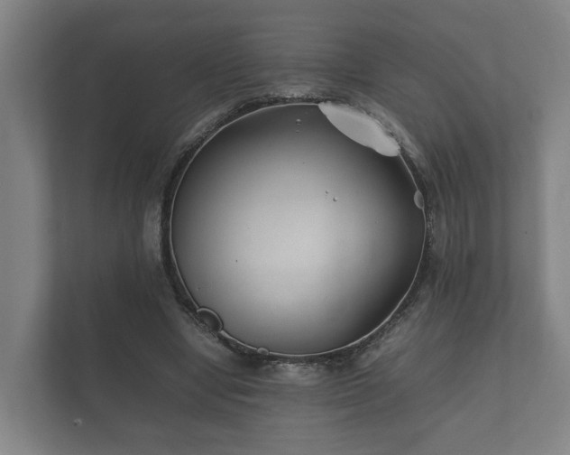 X0000112370442200908201505