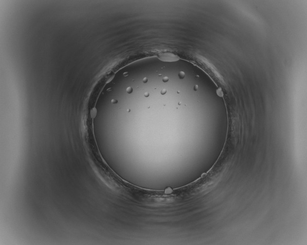 X0000112370443200908201505