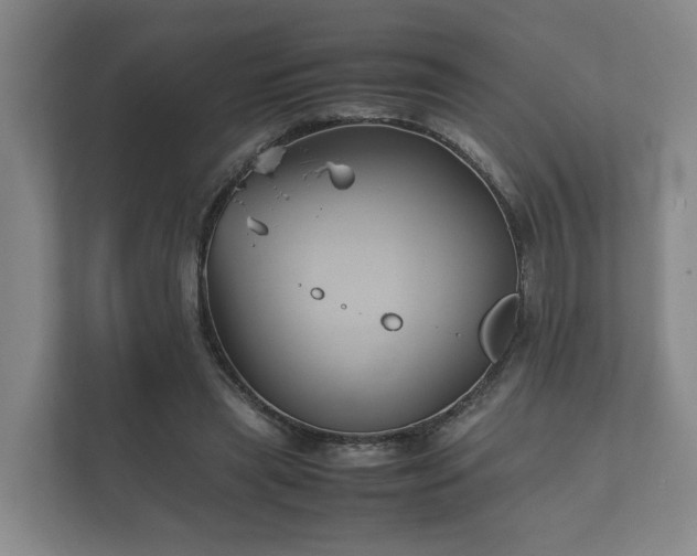 X0000112370445200908201505