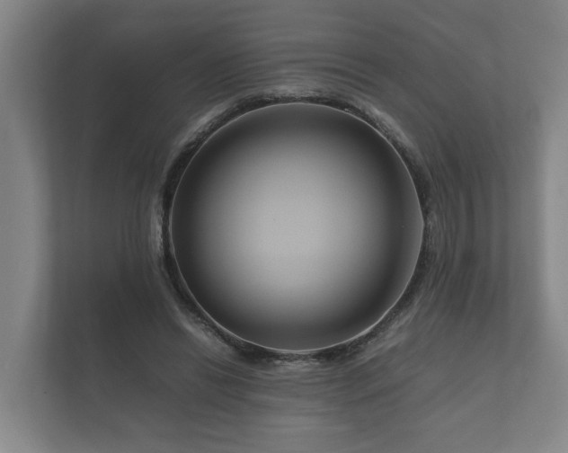 X0000112370446200908201505