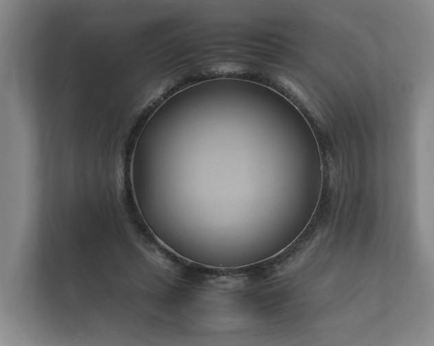 X0000112370447200908201505