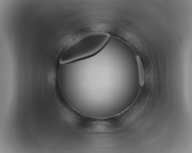 X0000112370448200908201505