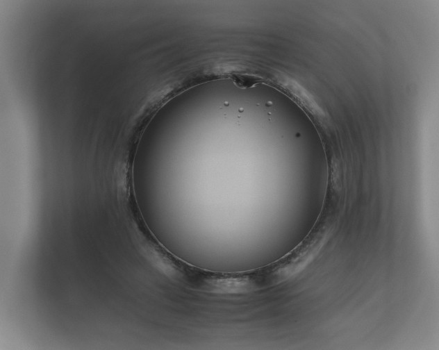 X0000112370449200908201505