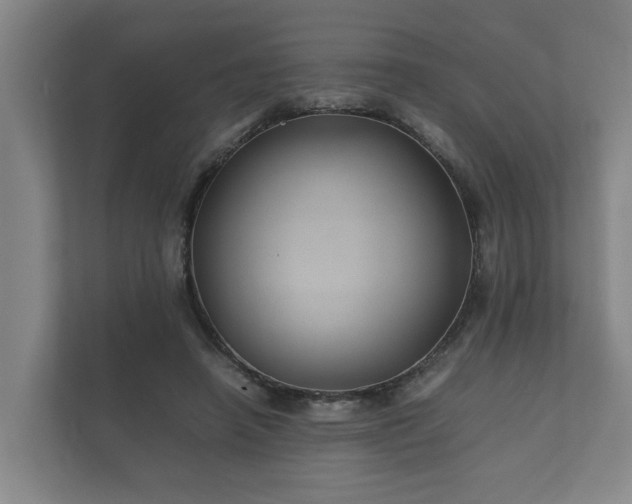 X0000112370450200908201505