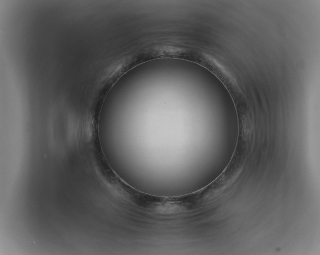 X0000112370451200908201505