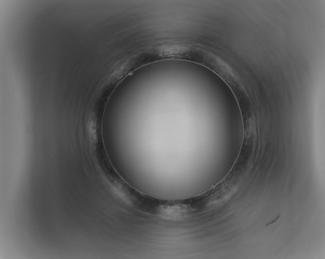 X0000112370452200908201505