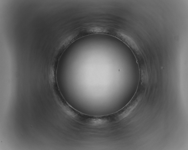 X0000112370453200908201505