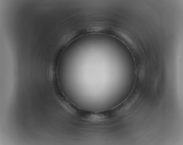 X0000112370455200908201505