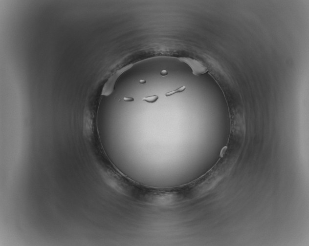 X0000112370456200908201505