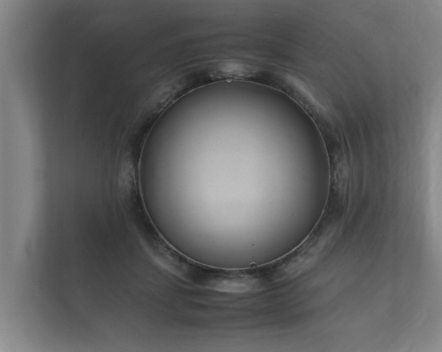 X0000112370459200908201505