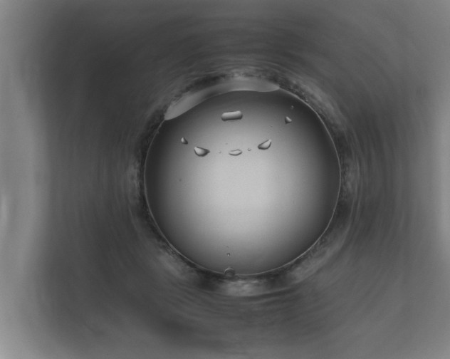 X0000112370461200908201505