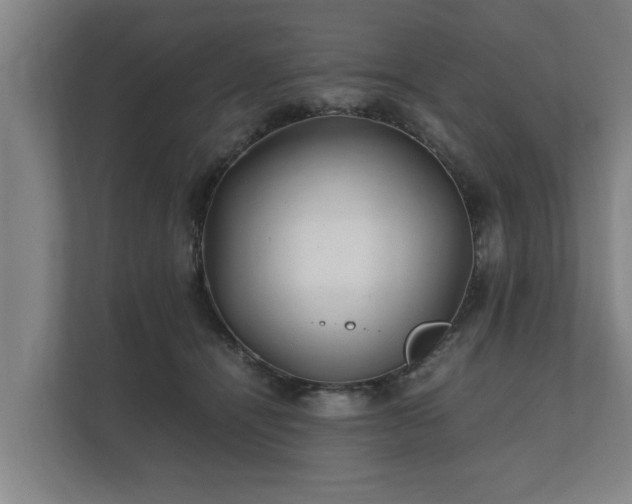 X0000112370464200908201506